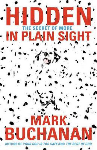 Cover image for Hidden in Plain Sight: The Secret of More
