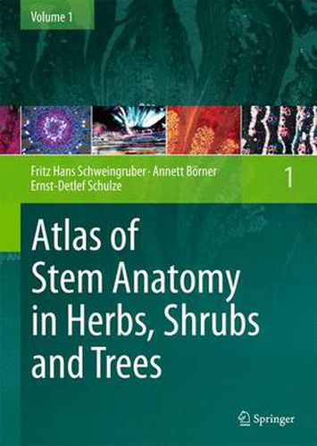 Atlas of Stem Anatomy in Herbs, Shrubs and Trees: Volume 1