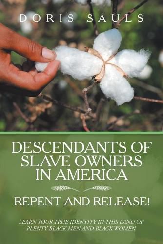 Cover image for Descendants of Slave Owners in America