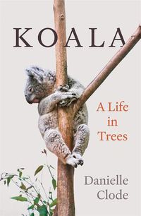 Cover image for Koala: A Life in Trees