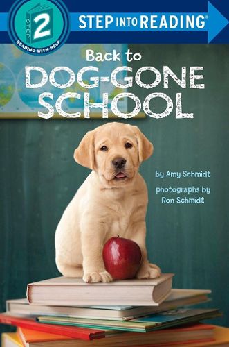 Cover image for Back to Dog-Gone School