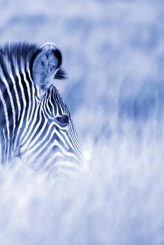 Cover image for Alive! zebra stripes - Blue duotone - Photo Art Notebooks (6 x 9 series)