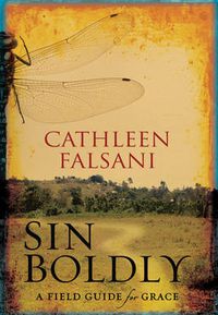 Cover image for Sin Boldly: A Field Guide for Grace