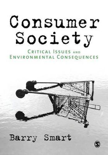 Cover image for Consumer Society: Critical Issues & Environmental Consequences