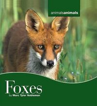 Cover image for Foxes