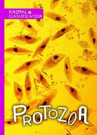 Cover image for Protozoa