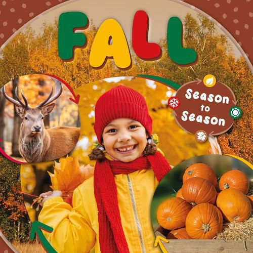 Cover image for Fall