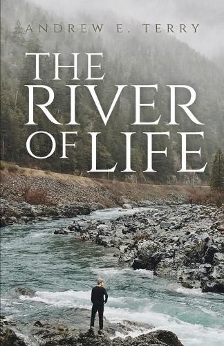 Cover image for The River of Life