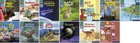 Cover image for Read Write Inc. Phonics Book Bag Books: Set 7 Grey: Non-Fiction Pack of 130