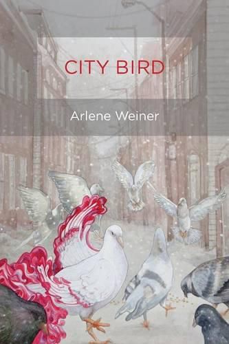 Cover image for City Bird