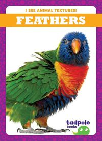 Cover image for Feathers