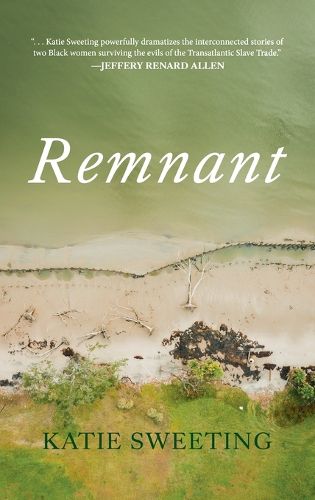 Cover image for Remnant