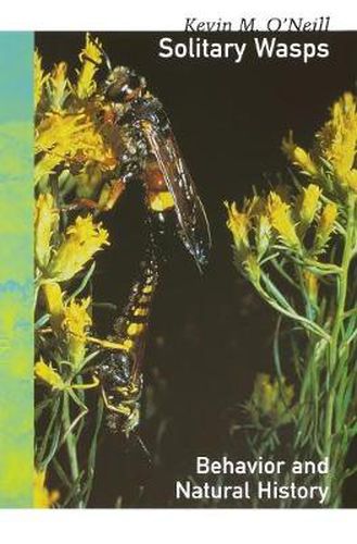 Cover image for Solitary Wasps: Behavior and Natural History