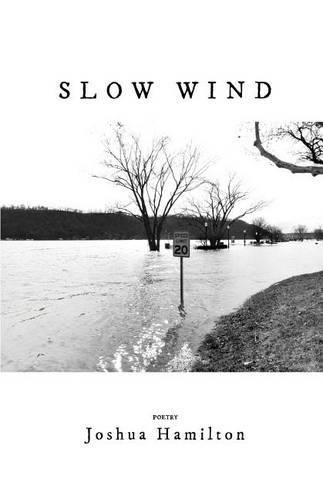 Cover image for Slow Wind