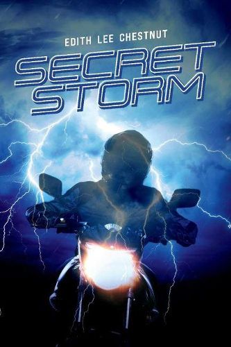 Cover image for Secret Storm