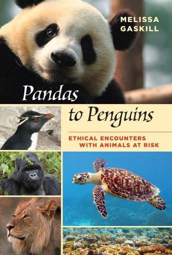 Cover image for Pandas to Penguins: Ethical Encounters with Animals at Risk