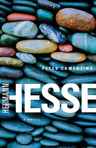 Cover image for Peter Camenzind