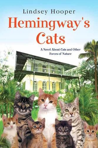 Cover image for Hemingway's Cats