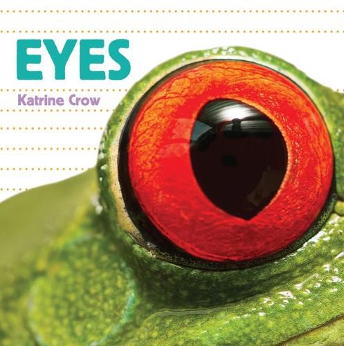 Cover image for Whose Is It? Eyes