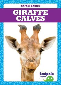 Cover image for Giraffe Calves