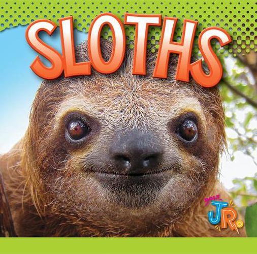 Cover image for Sloths