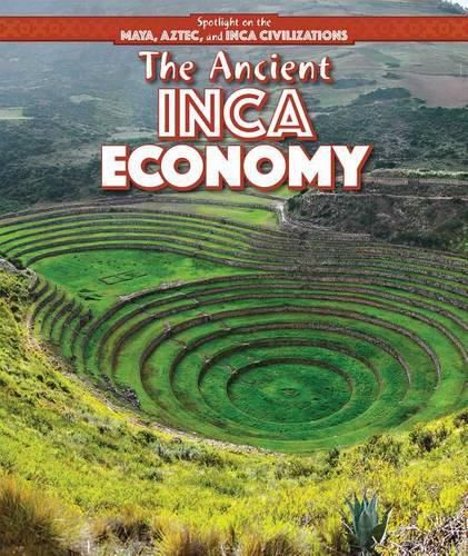 The Ancient Inca Economy