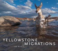 Cover image for Yellowstone Migrations