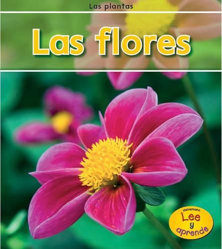 Cover image for Las Flores