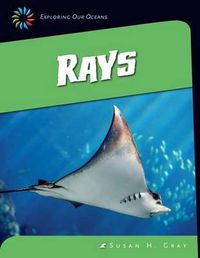 Cover image for Rays