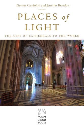 Cover image for Places of Light: The Gift of Cathedrals to the World