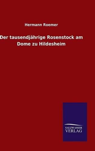 Der tausendjahrige Rosenstock am Dome zu Hildesheim