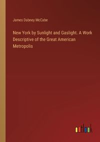 Cover image for New York by Sunlight and Gaslight. A Work Descriptive of the Great American Metropolis