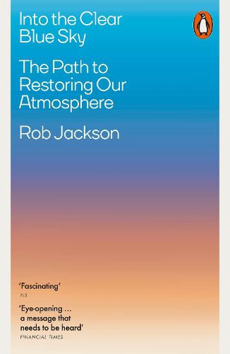 Cover image for Into the Clear Blue Sky