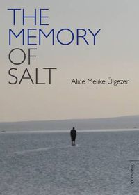 Cover image for Memory Of Salt
