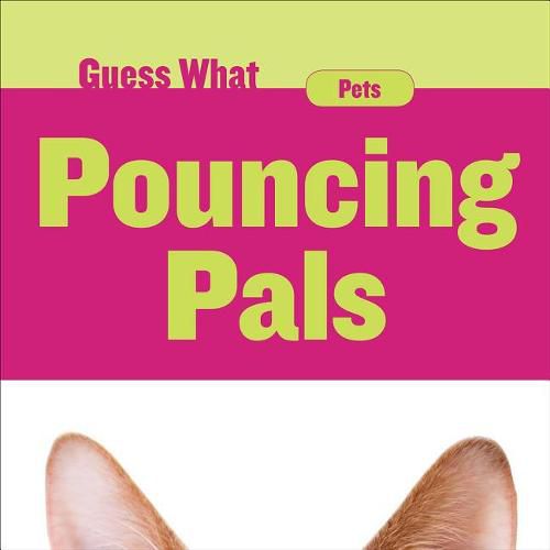 Cover image for Pouncing Pals: Cat