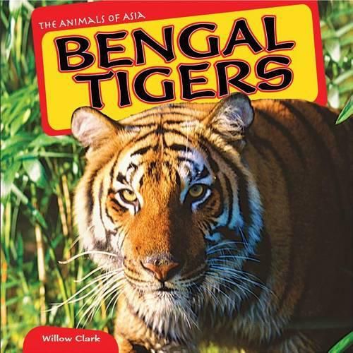 Cover image for Bengal Tigers