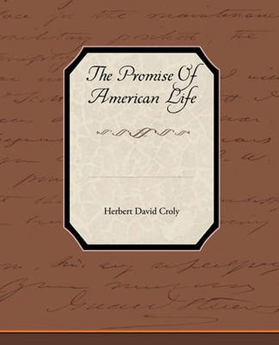 Cover image for The Promise of American Life