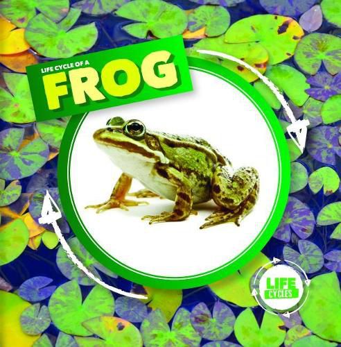 Life Cycle of a Frog