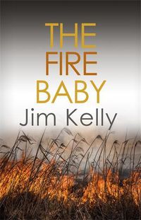 Cover image for The Fire Baby