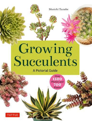 Cover image for Growing Succulents: A Pictorial Guide to Planting and Design (Over 1,000 Photos and 700 Plants)