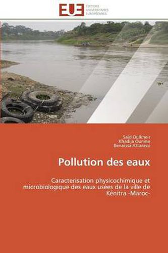 Cover image for Pollution Des Eaux