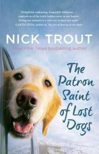 Cover image for The Patron Saint of Lost Dogs