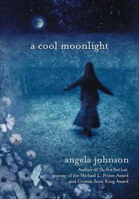 Cover image for A Cool Moonlight