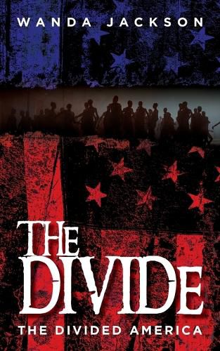 Cover image for The Divide