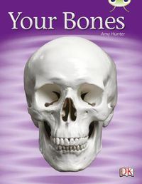 Cover image for Bug Club Non-fiction Green C/1B Your Bones 6-pack