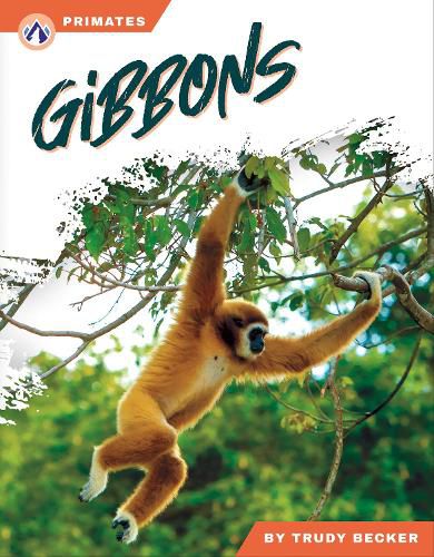 Cover image for Gibbons