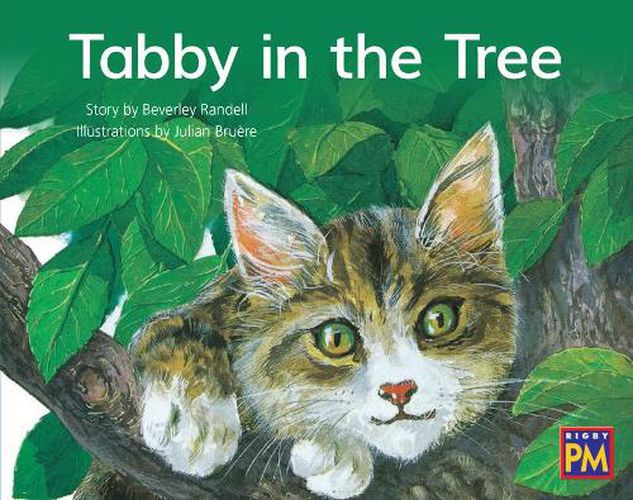 Cover image for Tabby in the Tree: Leveled Reader Blue Fiction Level 10 Grade 1