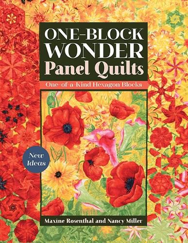 Cover image for One-Block Wonder Panel Quilts: New Ideas; One-of-a-Kind Hexagon Blocks