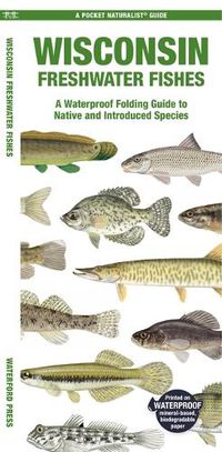 Cover image for Wisconsin Freshwater Fishes