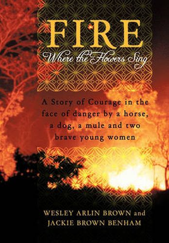 Cover image for Fire
